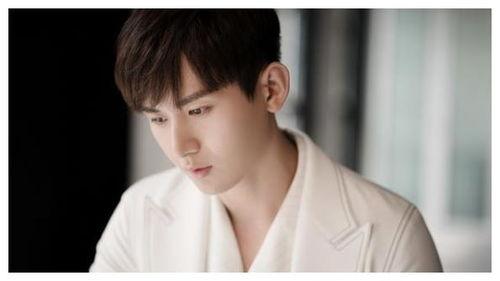 娱乐圈吃瓜成毅是谁